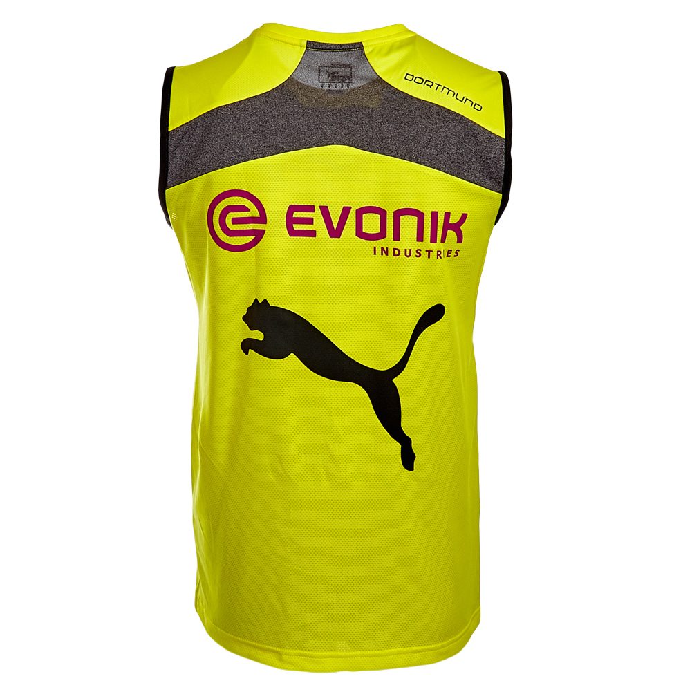 dortmund puma jersey