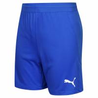 PUMA teamFINAL Knit Kids Short 704371-02