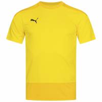 PUMA teamGOAL Men Jersey 656482-07