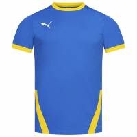 PUMA teamGOAL Jersey Mężczyźni Koszulka 704171-16