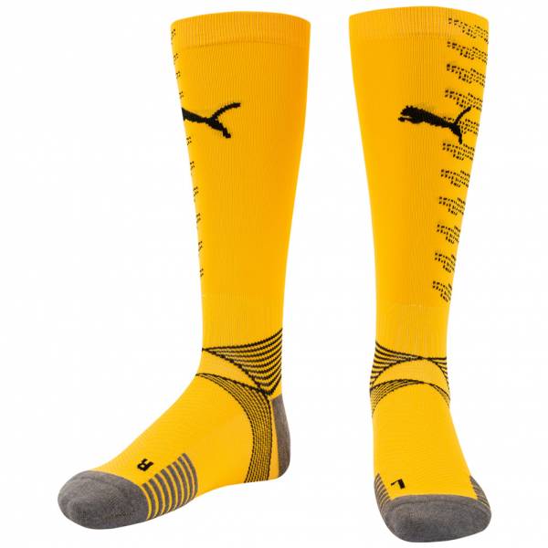 PUMA ftblNXT Team Football Socks 656536-04