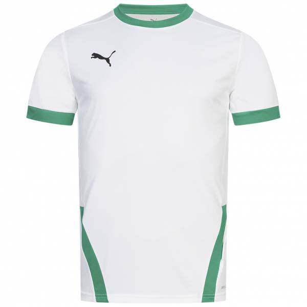 PUMA teamGOAL Jersey Herren Trikot 704171-15