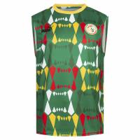 Senegal PUMA FtblCulture Hombre Camiseta de entrenamiento 772450-05