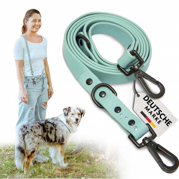 FAVVITY PET adjustable dog leash mint