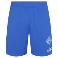 Islandia PUMA Hombre Pantalones cortos de primera equipación 766069-01