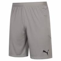 PUMA teamFINAL Hombre Pantalones cortos 704257-13