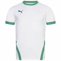 PUMA teamGOAL Jersey Mężczyźni Koszulka 704171-15