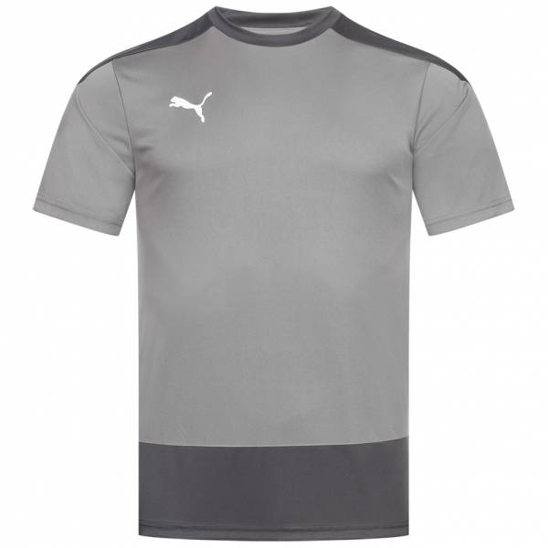 PUMA teamGOAL Men Jersey 656482-13