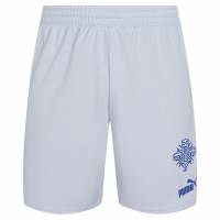 IJsland PUMA Heren Uitshort 766069-02