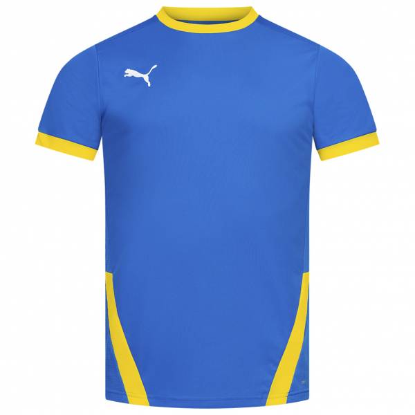 PUMA teamGOAL Jersey Herren Trikot 704171-16