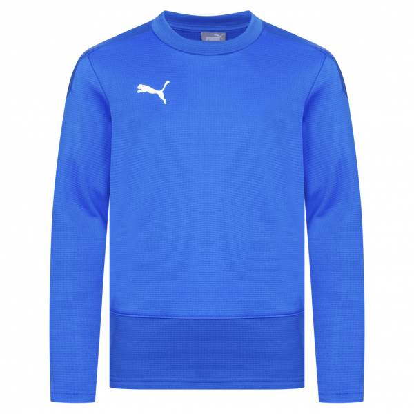 PUMA teamGOAL Kids Training Sweatshirt 656568-02