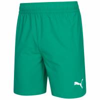 PUMA teamFINAL Herren Shorts 705076-05