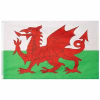 Wales Vlag MUWO 