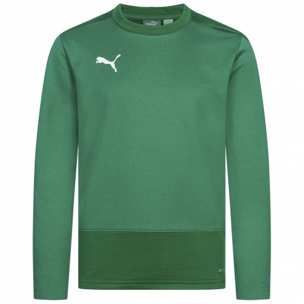 PUMA teamGOAL Kids Training Sweatshirt 656568-05