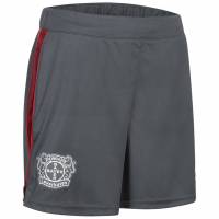 Bayer 04 Leverkusen CASTORE Femmes Short d'entraînement TF1696-GRISROUGE