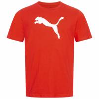 PUMA teamRISE Logo Mężczyźni T-shirt 658705-01