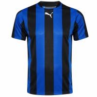 PUMA Teamkleding Heren Shirt 903295-01