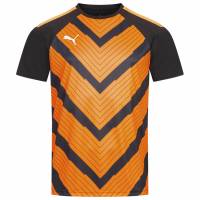 PUMA teamLIGA Jersey Heren Shirt 657839-45