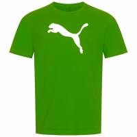 PUMA teamRISE Logo Mężczyźni T-shirt 658705-05