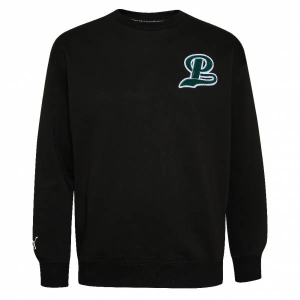 PUMA Team Crew Men Sweatshirt 538900-01