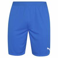 PUMA teamFINAL Heren Short 704257-02