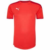 PUMA teamFINAL Herren Trikot 656481-01