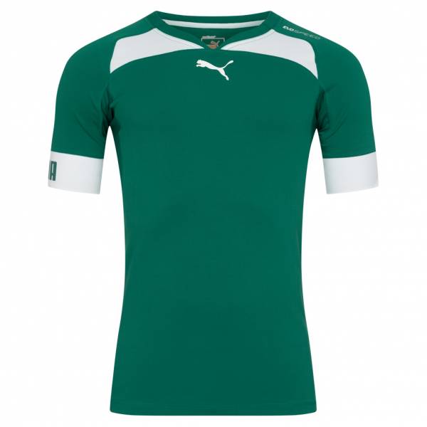 Image of PUMA evoSPEED Indoor Uomo Maglia da pallamano 701605-05064