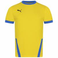 PUMA teamGOAL Jersey Mężczyźni Koszulka 704171-17