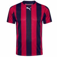 PUMA Abbigliamento da squadra Uomo Maglia 903295-03