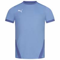 PUMA teamGOAL Jersey Mężczyźni Koszulka 704171-18