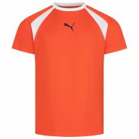 PUMA teamLIGA Multisport Men Jersey 658084-13