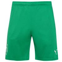 PUMA x NEYMAR JR. Copa Heren Short 605570-07