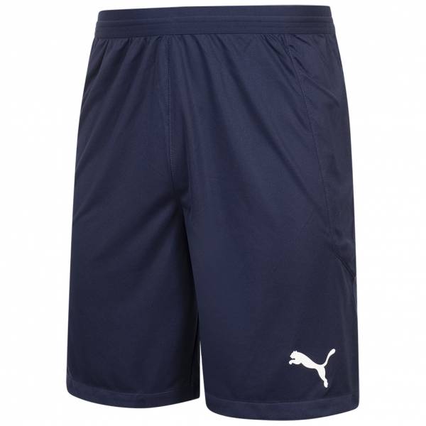 PUMA teamFINAL Men Shorts 704257-06