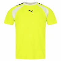 PUMA teamLIGA Multisport Heren Shirt 658084-12