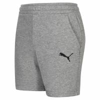 PUMA teamGOAL Casuals Kids Sweat Shorts 656712-33