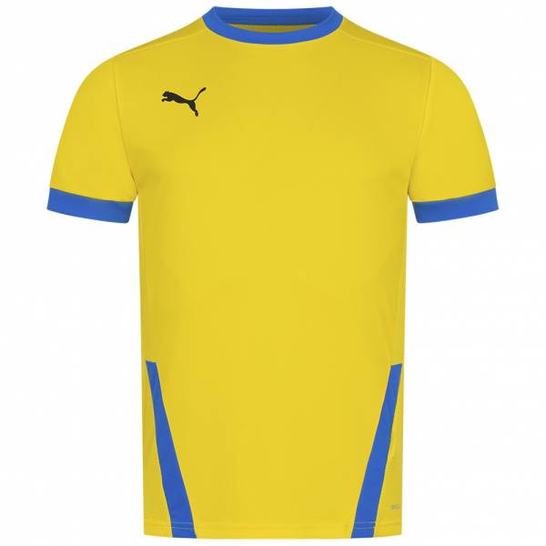 PUMA teamGOAL Jersey Herren Trikot 704171-17