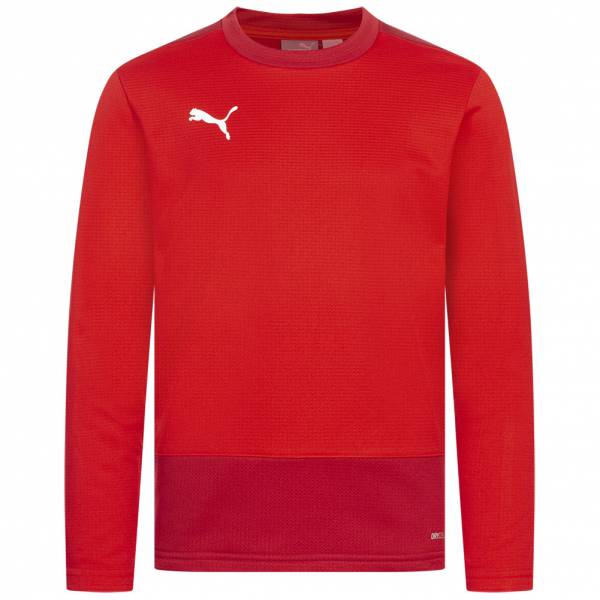 PUMA teamGOAL Kids Training Sweatshirt 656568-01