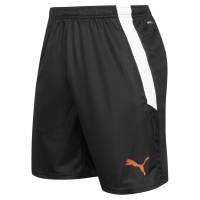 PUMA teamLIGA Men Training Shorts 657667-48