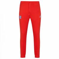 FC Bayern Munich adidas DANN Pant Men Tracksuit Pants HY3290