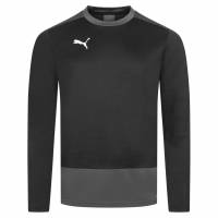 PUMA teamGOAL Training Sweat Herren Pullover 656478-03