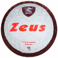 US Salernitana 1919 Zeus 