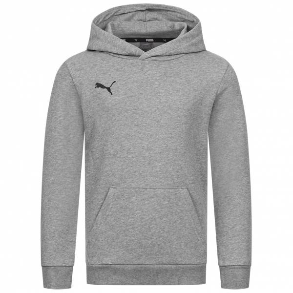 PUMA teamGOAL Kids Hoodie 656711-33