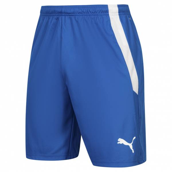 PUMA teamLIGA Men Shorts 704924-35