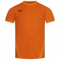 PUMA teamGOAL Jersey Mężczyźni Koszulka 704171-08