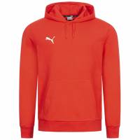 PUMA teamGOAL Casuals Heren Hoody 658618-01